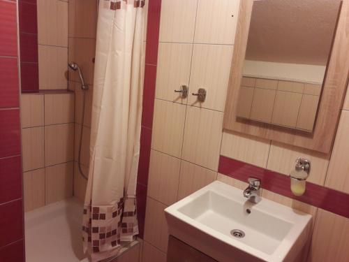 y baño con lavabo, espejo y ducha. en Rooms Velo, en Korenica