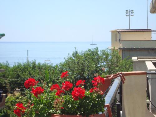 a bunch of red flowers on a balcony at B&B Nereidi in Melito di Porto Salvo