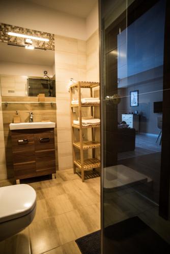 Ένα μπάνιο στο Apartamenty Opal