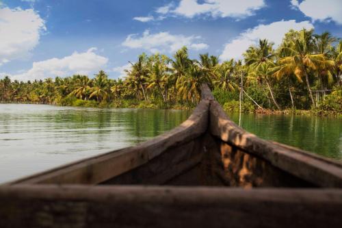 a boat on a body of water with palm trees at Vinis Farm - A Private Island Stay -Privacy Redefined !!! in Munroe Island
