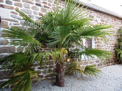 Taman di luar Gite Mont Saint Michel "AUCOEURDELABAIE"