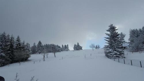 a snow covered field with trees and a fence at Ferienwohnung Langzettel in Oberweißbach