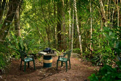 two chairs and a table in the middle of a forest at Sharlynn by the River in Malanda