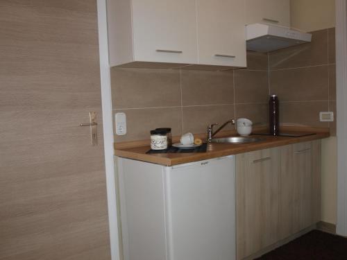 a kitchen with a sink and a counter top at Apartments Lean in Poreč