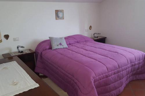 a bed with a purple comforter in a room at Casa di Mary in Grottammare