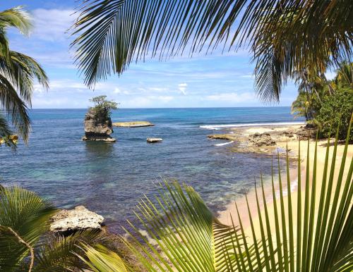 a view of a beach with a rock in the water at Physis Caribbean Bed & Breakfast in Puerto Viejo