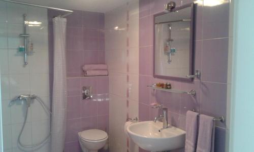 ein Badezimmer mit Waschbecken, Toilette und Dusche in der Unterkunft Apartment Setaliste in Brčko