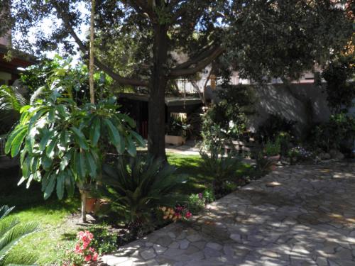 a garden in front of a house with a tree at Casa Giò in Assemini