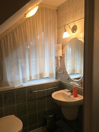 a bathroom with a sink and a toilet and a mirror at Penzión Villa Mon Ami in Starý Smokovec