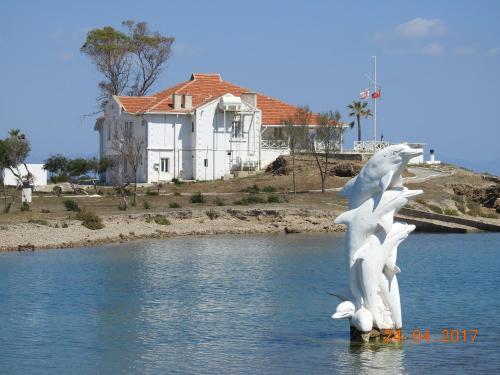 a statue of birds in the water in front of a house at Ertunalp Apartment in Mağusa