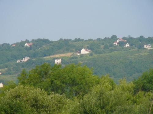 a group of houses on a hill with trees at Borospince Vendégház in Pécsely