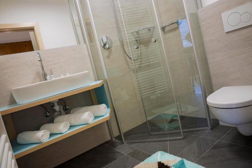 a bathroom with a shower and a sink and a toilet at Garni Appartements Almrausch in Burgusio