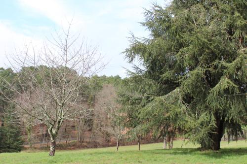 un groupe d'arbres dans un champ herbeux dans l'établissement Gite Le Refuge des Ecureuils, à Campsegret