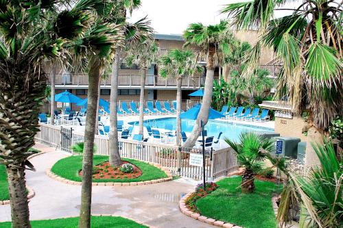 a resort with a pool with blue chairs and palm trees at Island House BeachFront Condo Hotel in Corpus Christi