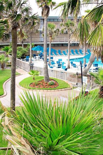 a resort with a pool with chairs and palm trees at Island House BeachFront Condo Hotel in Corpus Christi