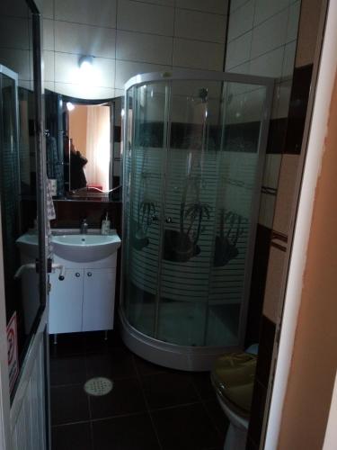 a bathroom with a shower and a sink at Vila Alexandru in Eforie Nord