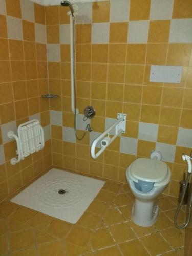 a bathroom with a toilet and a shower at Agriturismo Usurtala in Orani