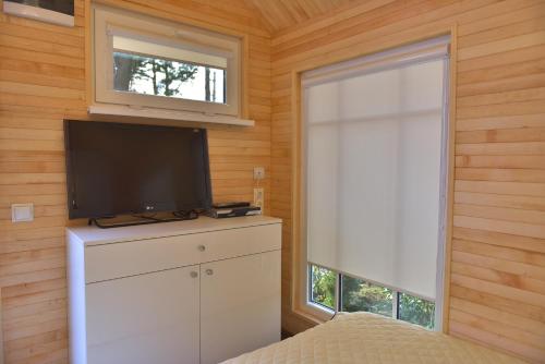 TV a/nebo společenská místnost v ubytování Jurmala Guest House Markiza