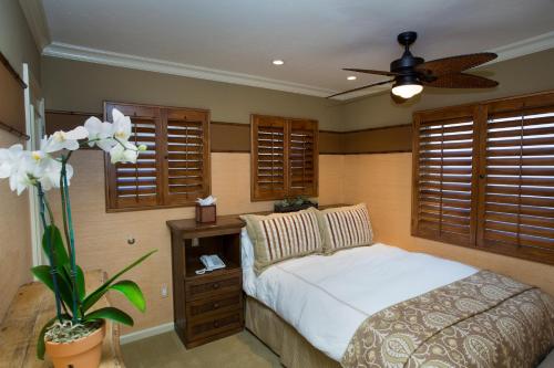 Martinique – Photos 5