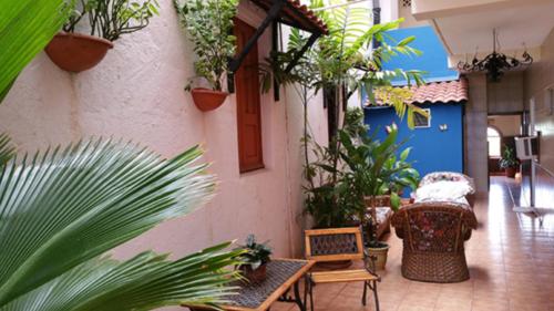 Hotel Rex في تشيتري: فناء مع مجموعة من النباتات والطاولات والكراسي