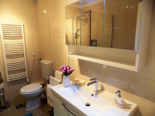 a bathroom with a sink and a toilet and a mirror at Apartment Anamarija in Njivice
