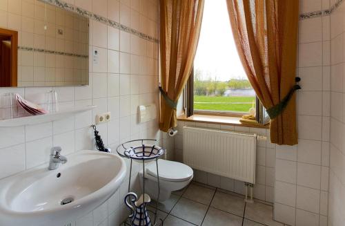 a bathroom with a sink and a toilet and a window at Landhotel Zur Scheune in Röbel