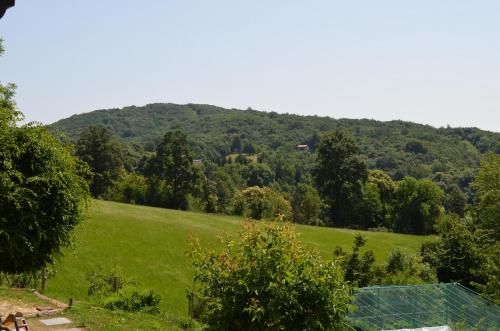 a green field with a mountain in the background at Agriturismo dell'Altopiano in Serle