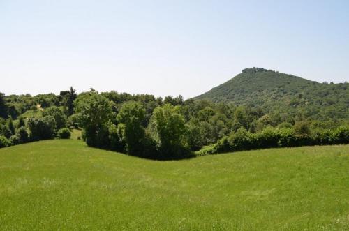 a green field with a mountain in the background at Agriturismo dell'Altopiano in Serle