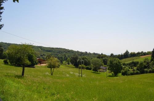 a field of green grass with trees and a house at Agriturismo dell'Altopiano in Serle