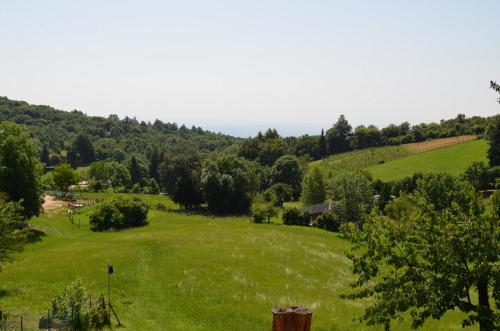 a large green field with trees on a hill at Agriturismo dell'Altopiano in Serle