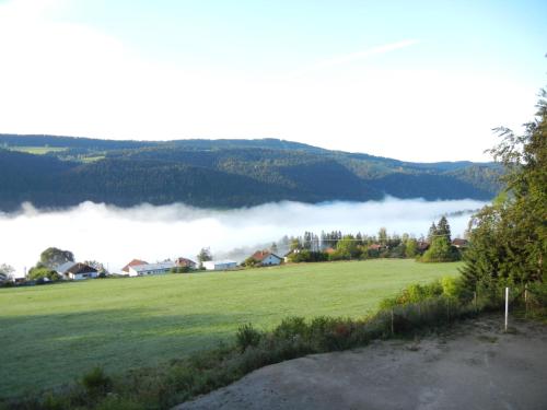 a green field with a view of a foggy mountain at Evasion Tonique in Villers-le-Lac