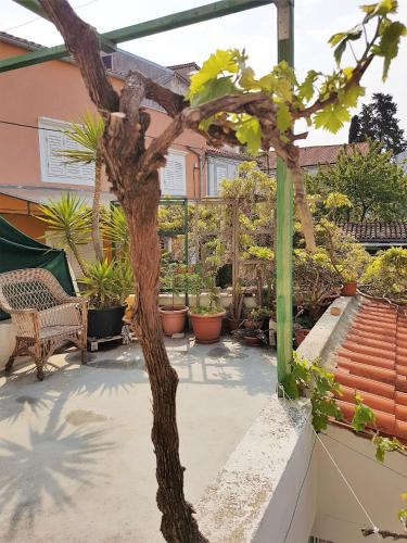 La Casa Di Nonna