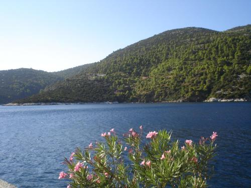 Gallery image of George SkyrosStudios in Skiros