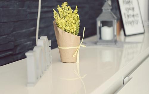 a vase with a plant sitting on a table at Apartment Andrija in Šibenik