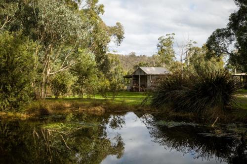 a cabin in the woods next to a lake at The Burrow at Wombat Bend in Dixons Creek