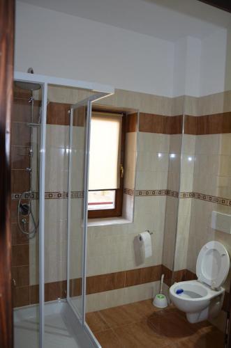 a bathroom with a shower and a toilet and a window at Pensiunea Zana Muntilor in Piatra Fantanele
