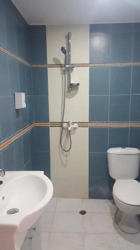 a bathroom with a shower and a toilet and a sink at Cathedral Guesthouse in Varna City