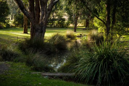 a garden with a pond and trees and grass at The Burrow at Wombat Bend in Dixons Creek