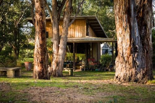 a house with trees in front of it at The Burrow at Wombat Bend in Dixons Creek