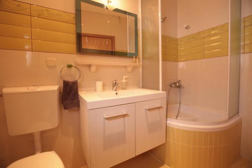 a bathroom with a sink and a toilet and a mirror at Apartman Vrsalović in Sumartin