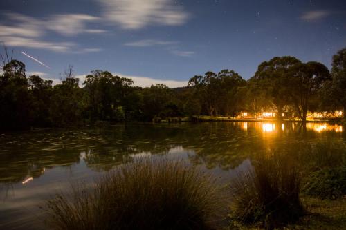 a pond at night with an elephant in the distance at The Burrow at Wombat Bend in Dixons Creek
