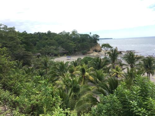 a view of a beach with palm trees and the ocean at Hosteria Cumilinche in Same