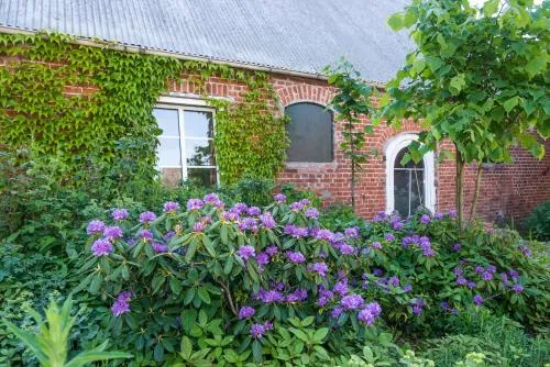 Ferienhof Kolauerhof - Bauernhofurlaub in Grömitz photo 3