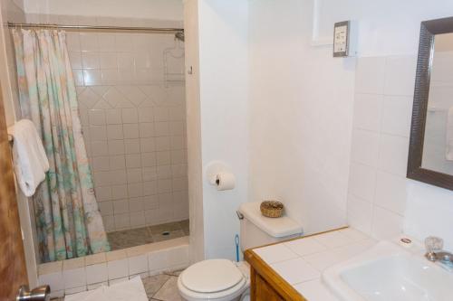 a bathroom with a shower and a toilet and a sink at Cleopatra Villas - Sea View in Rodney Bay Village