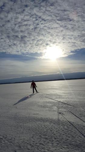 a person on skis in a field with the sun at KoliCarelia Cottages in Hattusaari