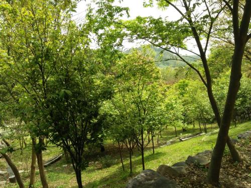Paisaje cerca de este lodge