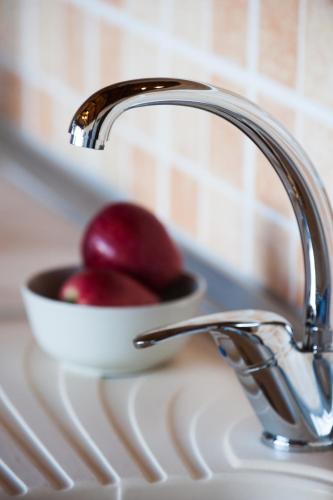 a bowl of fruit sitting on a sink next to a kitchen sink at Kamares House Apartments & Studios in Vourvourou