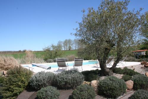 une piscine avec deux chaises et un arbre dans une cour dans l'établissement Domaine 3 Soleils, à Labastide-de-Lévis