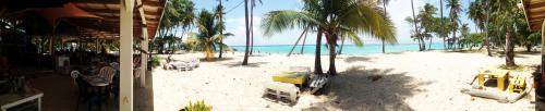 a view of a beach with palm trees and the ocean at La Rose du Bresil Marie-Galante in Capesterre-de-Marie-Galante