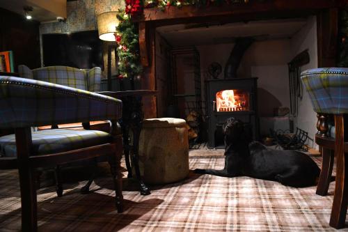 a dog laying on the floor in a living room with a fireplace at Battlesteads in Wark